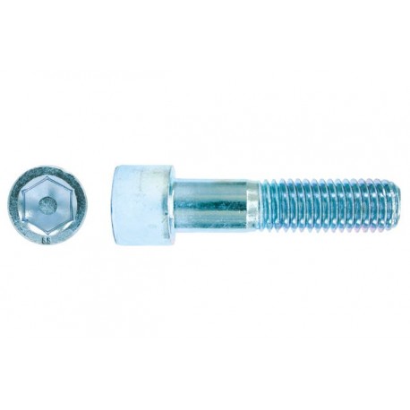 TORNILLO ALLEN 912 METRICA 12 INOX